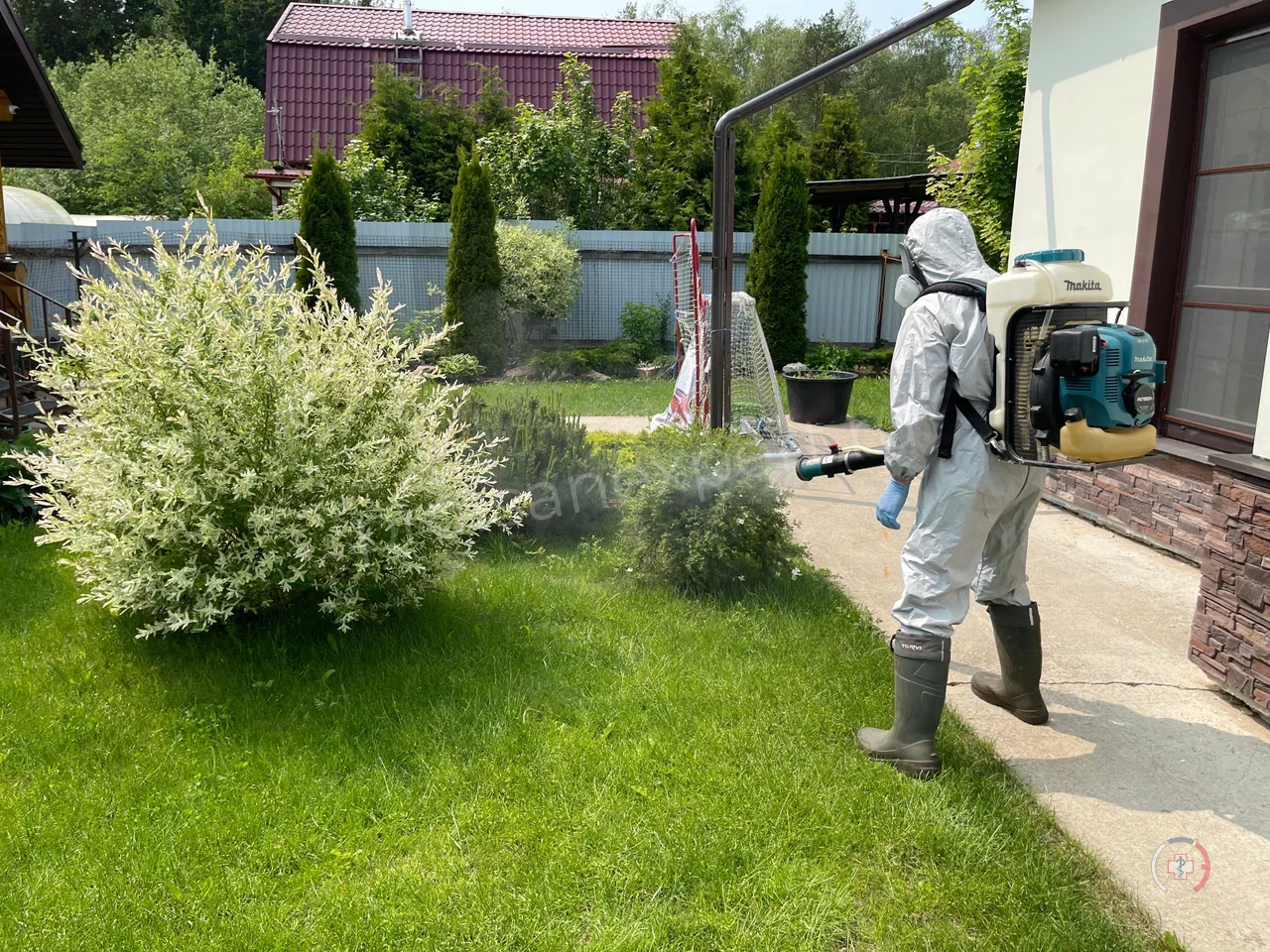 Галерея